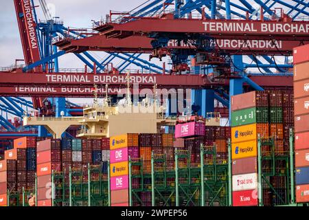 HMM Nuri Containerfrachter, am HHLA Containerterminal Burchardkai, im Waltershofer Hafen, wird beladen, Kapazität von bis zu 16000 TEU, Hamburg, Deutschland Containerschiff *** HMM Nuri Containerfrachter, am HHLA Containerterminal Burchardkai, im Waltershofer Hafen, geladen, Kapazität bis zu 16000 TEU, Hamburg, Deutschland Containerschiff Stockfoto