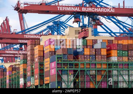 HMM Nuri Containerfrachter, am HHLA Containerterminal Burchardkai, im Waltershofer Hafen, wird beladen, Kapazität von bis zu 16000 TEU, Hamburg, Deutschland Containerschiff *** HMM Nuri Containerfrachter, am HHLA Containerterminal Burchardkai, im Waltershofer Hafen, geladen, Kapazität bis zu 16000 TEU, Hamburg, Deutschland Containerschiff Stockfoto