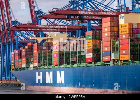 HMM Nuri Containerfrachter, am HHLA Containerterminal Burchardkai, im Waltershofer Hafen, wird beladen, Kapazität von bis zu 16000 TEU, Hamburg, Deutschland Containerschiff *** HMM Nuri Containerfrachter, am HHLA Containerterminal Burchardkai, im Waltershofer Hafen, geladen, Kapazität bis zu 16000 TEU, Hamburg, Deutschland Containerschiff Stockfoto