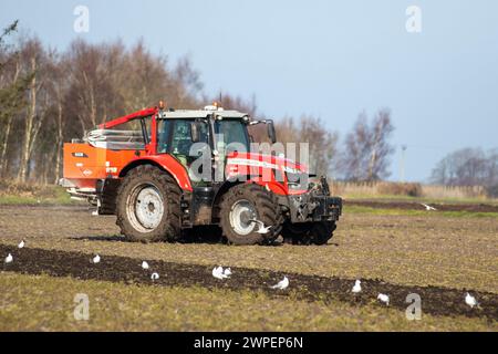 Massey Ferguson S 7719 mit Dyna-VT CVT-Getriebe in Holmeswood, Lancashire. Wetter in Großbritannien 07. März 2024. Pflügen und Kalken des Bodens an einem Trocknungstag im März: Schwere Traktoren können unter nassen Bodenbedingungen die Bodenverdichtung erleichtern, während sich die Anpflanzung im Winter verzögert. Stockfoto