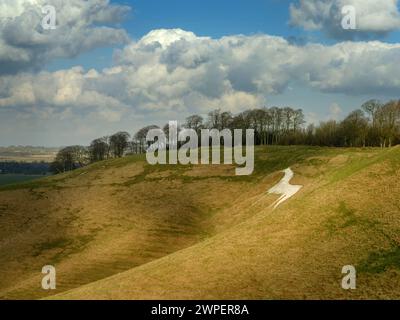 Das Cherhill White Horse wurde 1780 von Christopher Alsop geschnitten und wurde durch das Entfernen von Rasen geschaffen, um die darunter liegende Kreide freizulegen. Das Weiße Pferd, t Stockfoto