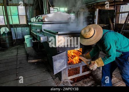 Brennkammer unter Verdampfer mit Holz in sugarhouse, Verarbeitung von ahornsaft zu Sirup auf einer Amischen Farm in Michigan, USA [keine Modellfreigabe; editori Stockfoto