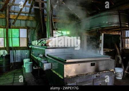 Verdampfer in sugarhouse, der ahornsaft zu Sirup auf einer Amischen Farm in Michigan, USA verarbeitet [keine Freigabe der Immobilie; nur redaktionelle Lizenzierung] Stockfoto