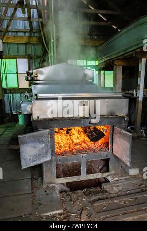 Brennkammer unter Verdampfer mit Holz in sugarhouse, Verarbeitung von ahornsaft zu Sirup auf einer Amischen Farm in Michigan, USA [keine Freigabe des Eigentums; bearbeiten Stockfoto