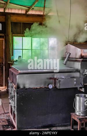 Verdampfer in sugarhouse, der ahornsaft zu Sirup auf einer Amischen Farm in Michigan, USA verarbeitet [keine Freigabe der Immobilie; nur redaktionelle Lizenzierung] Stockfoto