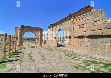 Der Arch de Caracalla in Djémila in Algerien (Cuicul) Stockfoto