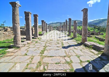 Der Arch de Caracalla in Djémila in Algerien (Cuicul) Stockfoto