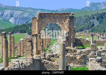 Der Arch de Caracalla in Djémila in Algerien (Cuicul) Stockfoto