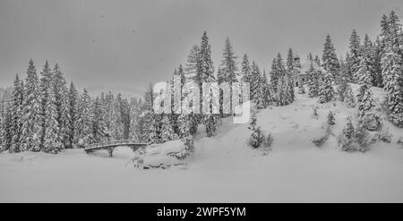 Dieses Winterschneebild der Maria am See Kirche, besser bekannt als Kapelle im Wald, liegt am Obernberger See im österreichischen Tirol Stockfoto