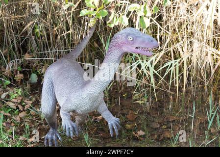 Dinosaurierpark in Krasiejów. Der größte Jurassic Park in Polen und sogar in Europa. Opole, Polen, 2018 Stockfoto