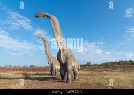 Dinosaurierpark in Krasiejów. Der größte Jurassic Park in Polen und sogar in Europa. Opole, Polen, 2018 Stockfoto