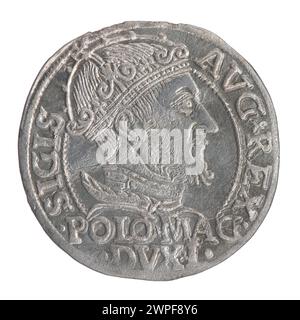 1547 litauischer Pfennig, der während der Regierungszeit von König Zygmunt II. August geprägt wurde und in Polen und Litauen verwendet wurde, mit Münzgesichtern, Inschriften und metallischer Komposition. Stockfoto