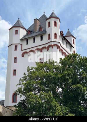 Die kurfürstliche Burg ist eine Stadtburg in Eltville am Rhein im hessischen Rheingau-Taunus-Kreis und das Wahrzeichen der Stadt. Die Kurfürstliche Stockfoto