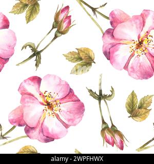 Nahtloses Blumenmuster mit rosa Wildrosen-Hüftzweig mit Knospen, Blumen und Blättern, Hund- oder brier-Rosenpflanzen-Motiv für Tapeten Stockfoto