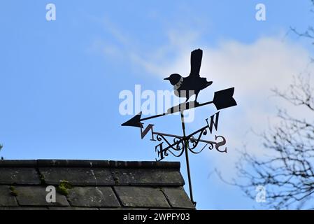 Rund um Großbritannien - Magpie Weather Vane, um Jumbles Reservoir, Bolton, Greater Manchester Stockfoto