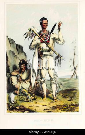 Vintage Lithografie „Red-Bird, A Winnebago“ von McKenney & Hall. Aus der Geschichte der Indianerstämme Nordamerikas. Philadelphia: D. Rice und A. N. Hart, 1855. Indigener Krieger im Gewand stehend Stockfoto