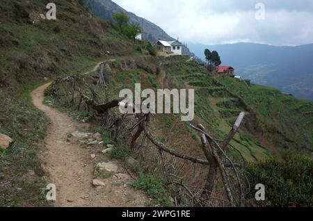 Berglandschaft, Trail zwischen Jiri und Lukla, unterer Teil der Everest-Wanderung im Himalaya, Region Solukhumbu, Nepal Stockfoto