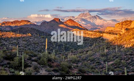 Four Peaks Mountain in der Sonora-Wüste mit verstreuten Saguaros bei Sonnenuntergang, Arizona. Stockfoto