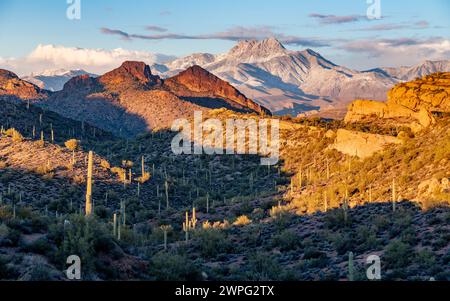 Four Peaks Mountain in der Sonora-Wüste mit verstreuten Saguaros bei Sonnenuntergang, Arizona. Stockfoto