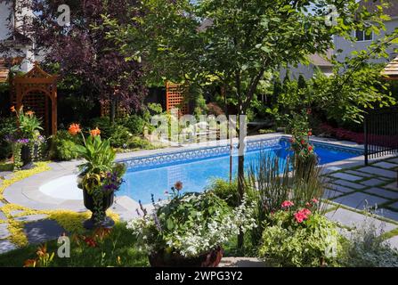 Hemerocallis - Taglilien, gelbe Lysimachia nummularia 'Aurea' - Golden Creeping Jenny, und orange Canna - Indian Shot, violette Petunien, Solenostemon. Stockfoto