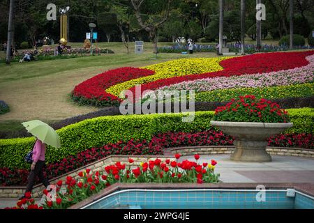 GUANGZHOU, CHINA - 22. Februar 2024: Blumen blühen das ganze Jahr über in Guangzhou, was zu seinem Spitznamen „Stadt f Stockfoto