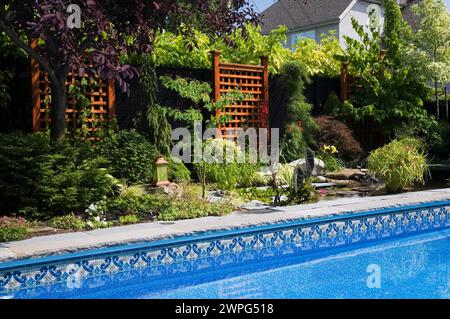 Sedum - Stonecrop, Kolokasien - Elefantenohr, gelbe Hemerocallis - Taglilien, Cyperus Papyrus, Acer Japonicus - Japanischer Ahornbaum im Garten Stockfoto