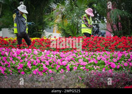 GUANGZHOU, CHINA - 22. Februar 2024: Blumen blühen das ganze Jahr über in Guangzhou, was zu seinem Spitznamen „Stadt f Stockfoto