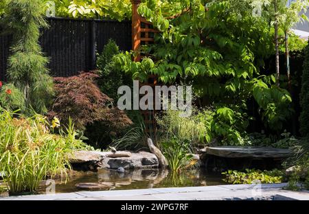 Cyperus Papyrus, gelbe Hemerocallis - Taglilien, Acer Japonicus - Japanischer Ahornbaum, Eichornia crassipes - Wasserhyazinthe im Hinterhof mit Teich. Stockfoto