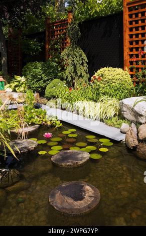 Teich mit Trittsteinen, rosa Nymphaea - Seerose, Cyperus Papyrus, Eichornia crassipes - Wasserhyazinthe plus Rand mit Holzgitterstruktur. Stockfoto