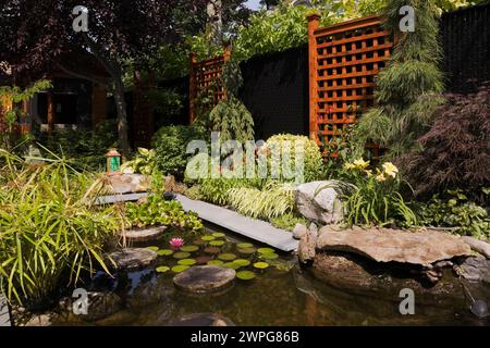 Teich mit Trittsteinen, rosa Nymphaea - Wasserlilie, Cyperus Papyrus, Eichornia crassipes - Wasserhyazinthe, gelbe Hemerocallis - Taglilien, Acer. Stockfoto