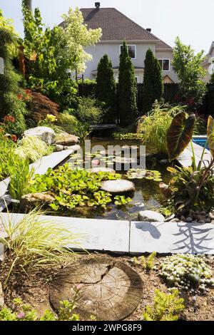 Teich mit Eichornia crassipes - Wasserhyazinthe, rosa Nymphaea - Wasserlilie, Kolokasien - Elefantenohr, orange Hemerocallis - Taglilien, Acer Japonicus. Stockfoto