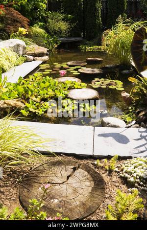 Teich mit Eichornia crassipes - Wasserhyazinthe, rosa Nymphaea - Wasserlilie, Kolokasien - Elefantenohr, Acer Japonicus - Japanischer Ahornbaum im Sommer. Stockfoto