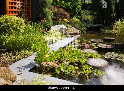 Teich mit Trittsteinen, Eichornia Crassipes - Wasserhyazinthe, rosa Nymphaea - Wasserlilie, rote Echinacea 'heiße Papaya' - Coneflower. Stockfoto