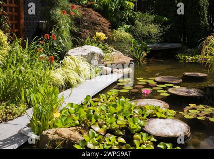 Teich mit Trittsteinen, Eichornia Crassipes - Wasserhyazinthe, rosa Nymphaea - Wasserlilie, rote Echinacea 'heiße Papaya' - Coneflower. Stockfoto