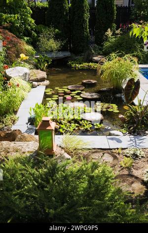 Teich mit Trittsteinen, Eichornia Crassipes - Wasserhyazinthe, rosa Nymphaea - Seerose, Kolokasien - Elefantenohr, rote Echinacea 'Hot Papaya'. Stockfoto