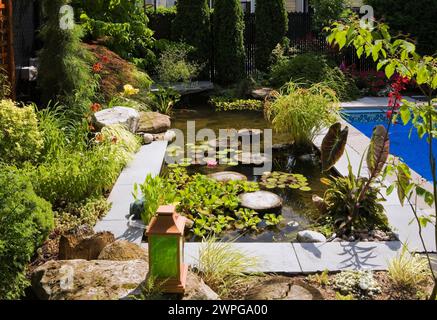 Teich mit Trittsteinen, Eichornia Crassipes - Wasserhyazinthe, rosa Nymphaea - Seerose, Kolokasien - Elefantenohr, rote Echinacea 'Hot Papaya'. Stockfoto