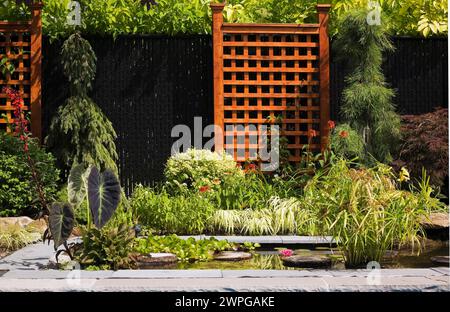 Kolokasien - Elefantenohr, Eichornia crassipes - Wasserhyazinthe, gelbe Hemerocallis - Taglilien, Cyperus Papyrus, Acer Japonicus - Japanischer Ahornbaum. Stockfoto