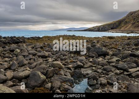 Atlantikstrand mit vielen Steinen und Felsen. Pfützen unter ihnen. Berge auf der anderen Seite des Fjords im Hintergrund. Westfjorde, Gebiet von I Stockfoto