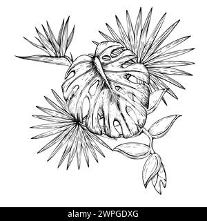 Tropische Vektorkomposition mit Monstera und Palmblättern, Helikonia, Paradiesvogel oder Strelitzia reginae Blumen Illustrationen auf isoliertem Hintergrund Stock Vektor