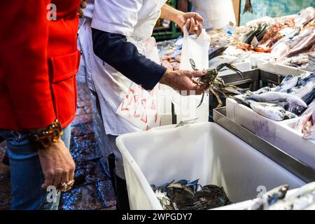 Elegante Dame am Markt zu Fischtheke - der Verkäufer steckt Callinectes sapidus blaue Krabben in die Tasche - blaue Krabben sind amerikanische atlantikküsten - Stockfoto