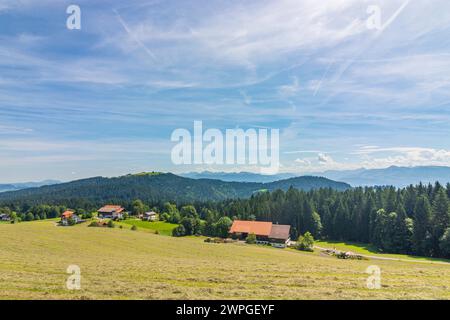 Bauernhöfe im Bregenzerwald Bregenzer Wald Eichenberg Bregenzerwald Bregenzer Wald Vorarlberg Österreich Stockfoto