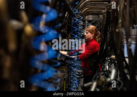 Weibliche Farm-Hand melkt eine Kuhherde auf einem Milchbetrieb in Timoleague, West Cork, Irland. Stockfoto