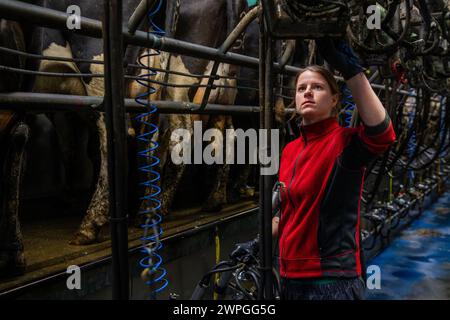 Weibliche Farm-Hand melkt eine Kuhherde auf einem Milchbetrieb in Timoleague, West Cork, Irland. Stockfoto
