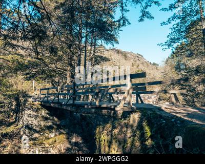 Holz-Brücke in Geres Nationalpark, Portugal Stockfoto