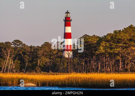 Assateague Leuchtturm, erbaut im Jahre 1867 auf Assateague Insel an der östlichen Küste von Virginia. Stockfoto