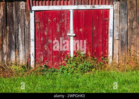 Scheune mit roten Türen am Blue Ridge Parkway in Virginia. Stockfoto