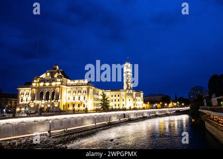 Das Rathaus von Oradea am Ufer des Flusses Crisu Repede bei Nacht Stockfoto