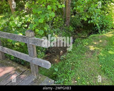 Fußgängerbrücke und Stream im Spring Mill State Park Stockfoto