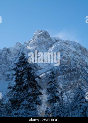 Schneebedeckter, sonnendurchfluteter Gipfel mit Bäumen im Vordergrund im Krnica-Tal, Julischen Alpen an einem klaren Wintertag. Der Wind wehte Schnee vom Gipfel. Stockfoto