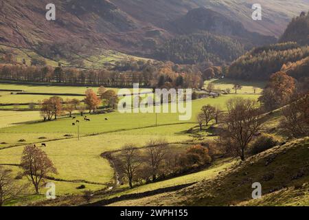 Die Felder von St.. John ist im Vale von den unteren Hängen von High Rigg, Cumbria, Großbritannien Stockfoto